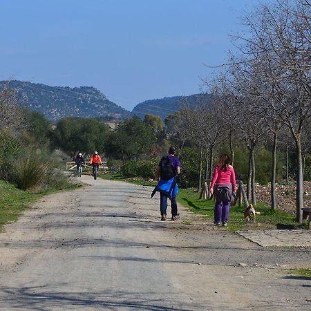 Hotel Puerta De La Sierra Puerto Serrano Εξωτερικό φωτογραφία